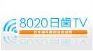 8020日歯T